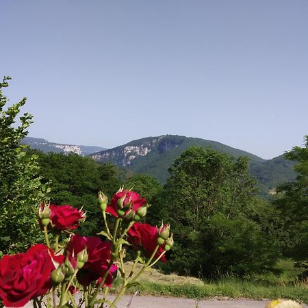 Au Chalet D'Anna Saint-Rambert-en-Bugey Exterior photo